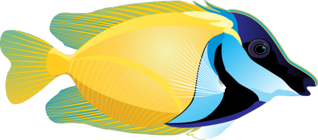 Amazing Clip Art Of Ocean Life - Tropical Fish Clip Art - Transparent PNG Free Download