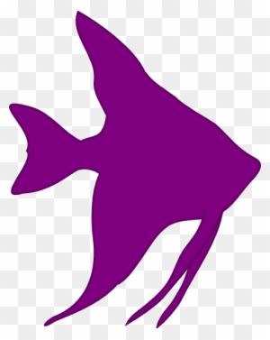 Angelfish Clipart Pink Fish - Cartoon Angel Fish Clipart - Transparent PNG Free Download