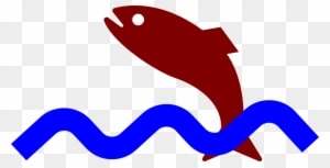 Jumping Fish Clip Art - Fish Jumping Out Of The Water Gif - Transparent PNG Free Download