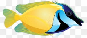Amazing Clip Art Of Ocean Life - Tropical Fish Clip Art - Transparent PNG Free Download