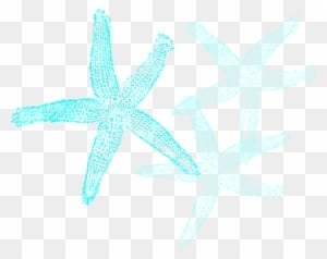 Starfish Prints Clip Art - Fish Clip Art - Transparent PNG Free Download