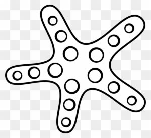 White Starfish - Star Fish Cartoon Black And White - Transparent PNG Free Download