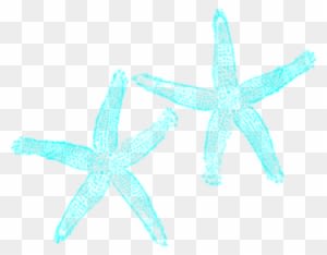 Star Fish Clip Art With No Background - Transparent PNG Free Download