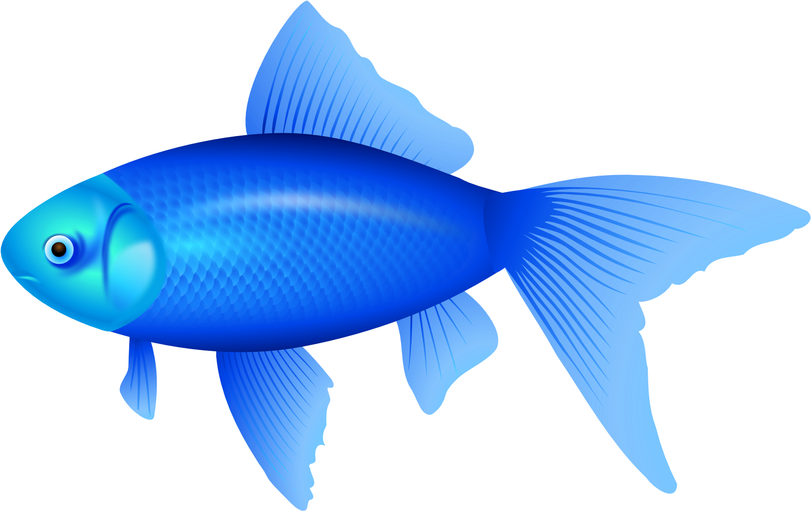Blue Fish Png Clipart Image - Blue Fish Clipart - Transparent PNG Free Download