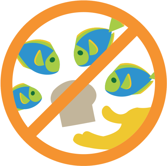 Don't Feed Fish - Don T Feed The Fish Sign - Transparent PNG Free Download