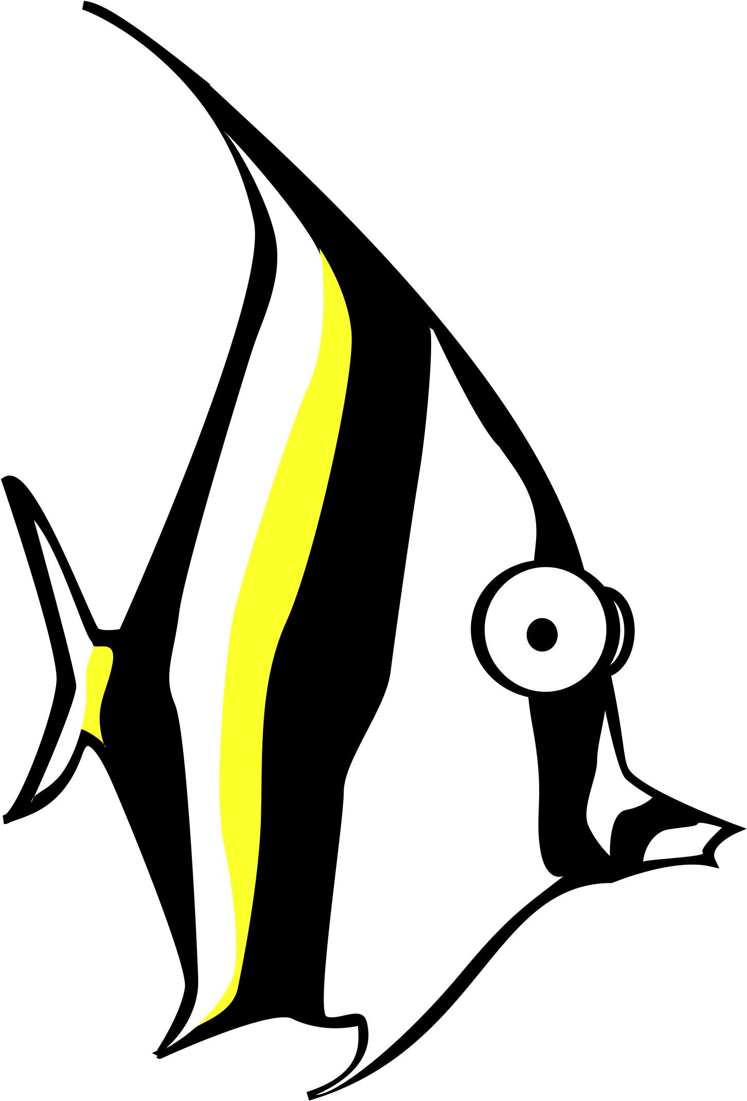 Zebra Clip Art Download - Angel Fish Cartoon - Transparent PNG Free Download