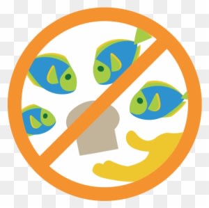 Don't Feed Fish - Don T Feed The Fish Sign - Transparent PNG Free Download