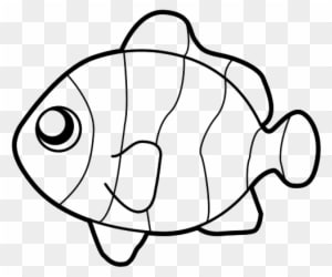 Peces Para Colorear - Fish Coloring Pages - Transparent PNG Free Download