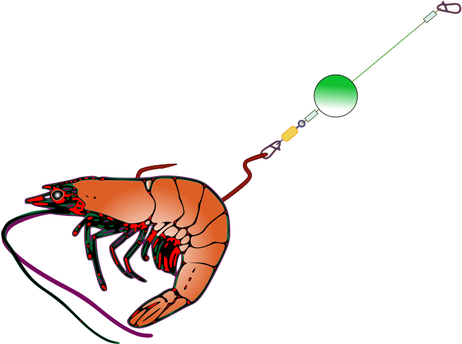 Get Notified Of Exclusive Freebies - Fishing Bait - Transparent PNG Free Download