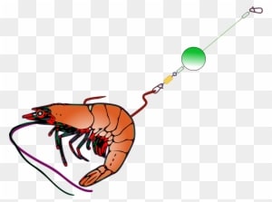 Big Image - Fishing Bait Clip Art - Transparent PNG Free Download