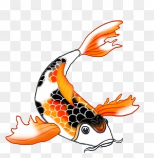 Japan Clipart Coy Fish - Koi Fish Clipart - Transparent PNG Free Download