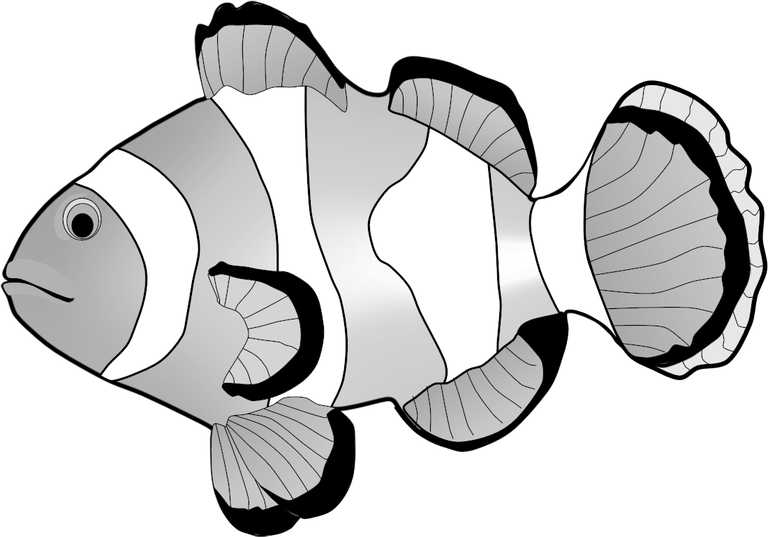 Clownfish Clipart - Clown Fish Clipart Black And White - Transparent PNG Free Download