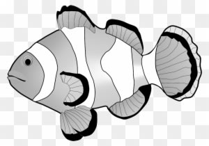 Clownfish Clipart - Clown Fish Clipart Black And White - Transparent PNG Free Download