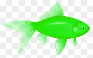Fins Clipart Green Fish - Fish Png - Transparent PNG Free Download