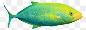 Ocean Fish Live Clipart - Saltwater Fish Clip Art - Transparent PNG Free Download