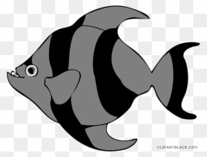 Tropical Fish Animal Free Black White Clipart Images - Large Pictures Of Cartoon Fish - Transparent PNG Free Download