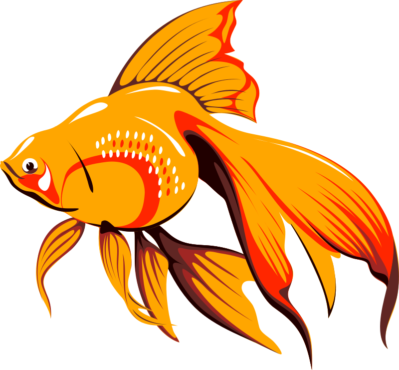 Fish Bait Free Architetto Pescetto - Golden Fish Clipart - Transparent PNG Free Download