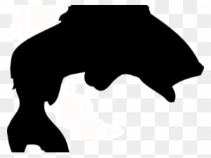 Bass Outline Cliparts - Bass Fish Silhouette - Transparent PNG Free Download