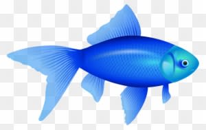 How To Move Two Different Images Across The Screen - Fish Clipart No Background - Transparent PNG Free Download