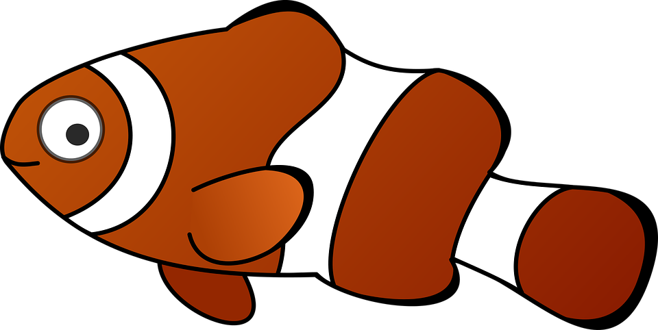 Anemone Cartoon Fish Sea Fish Fish Fish Fi - Cartoon Fish - Transparent PNG Free Download