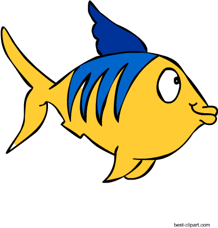Colorful Fish Marine Animal Free Clipart - Coral Reef Fish - Transparent PNG Free Download