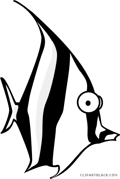 Angel Fish Animal Free Black White Clipart Images Clipartblack - Angel Fish Cartoon - Transparent PNG Free Download