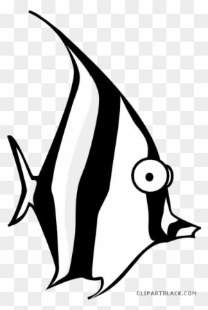 Angel Fish Animal Free Black White Clipart Images Clipartblack - Angel Fish Cartoon - Transparent PNG Free Download