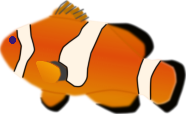 Aquarium Fish Amphiprion Percula Clip Art - Clown Fish Transparent Background - Transparent PNG Free Download