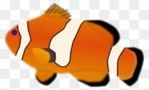 Aquarium Fish Amphiprion Percula Clip Art - Clown Fish Transparent Background - Transparent PNG Free Download