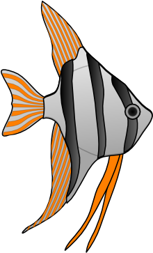 Fish With Orange Stripes Clip Art At Clker - Cartoon Angel Fish - Transparent PNG Free Download