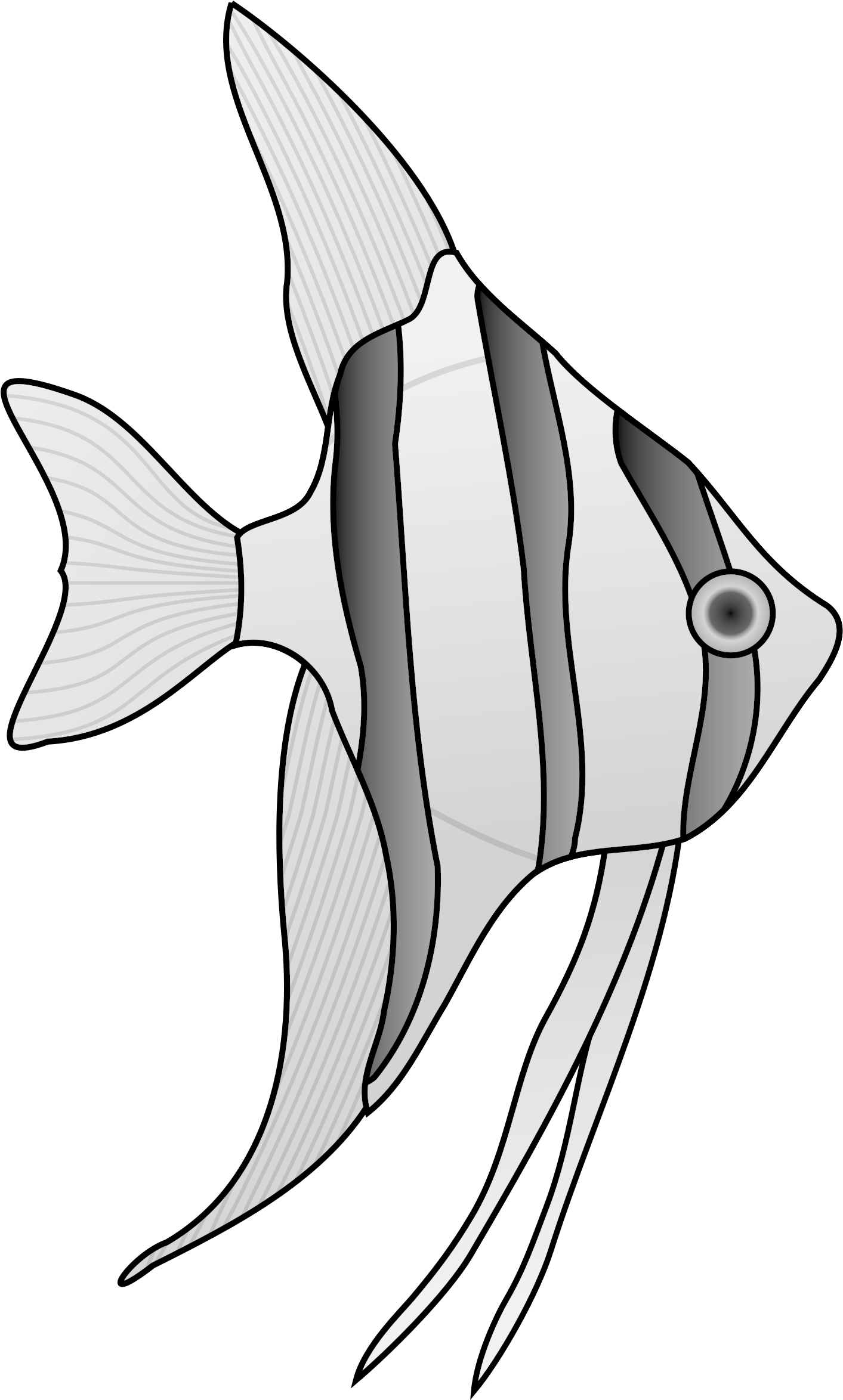 Angel Fish Cliparts Clip Art Library - Salt Water Fish Drawing - Transparent PNG Free Download