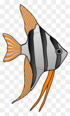 Fish With Orange Stripes Clip Art At Clker - Cartoon Angel Fish - Transparent PNG Free Download