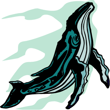 Migration Is An Amazing Journey - Fish - Transparent PNG Free Download