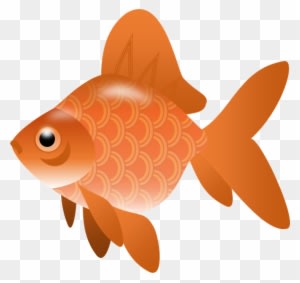 Ocean Clipart Orange Color - Fish Clip Art Png Transparent - Transparent PNG Free Download