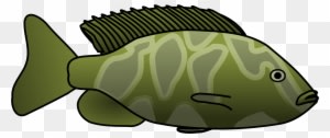 Giraffe Cichlid - Clipart Fish In Lake - Transparent PNG Free Download