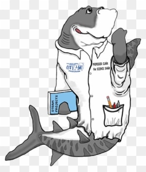 Shark Clipart Clark The - Fish Science Clip Art - Transparent PNG Free Download