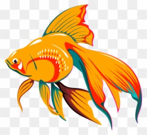 Fish Asian Tail Golden Exotic Tropical Fin - Fish Clipart Vector - Transparent PNG Free Download