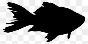 Fish, Animal, Silhouette, Sea - Fish Silhouette - Transparent PNG Free Download