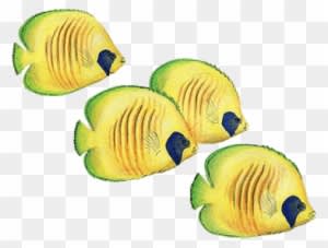 Fish Under The Sea Wall Stickers, Shark, Dolphins & - Tropical Watercolor Fish - Transparent PNG Free Download