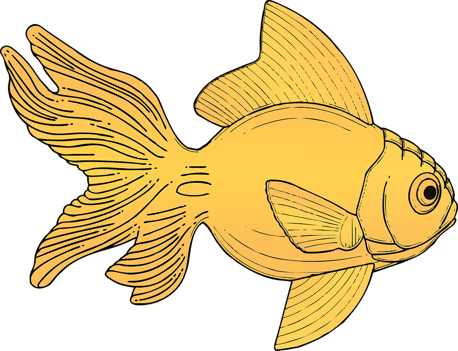 Goldfish Cliparts Girl 12, - Gold Fish Clipart - Transparent PNG Free Download