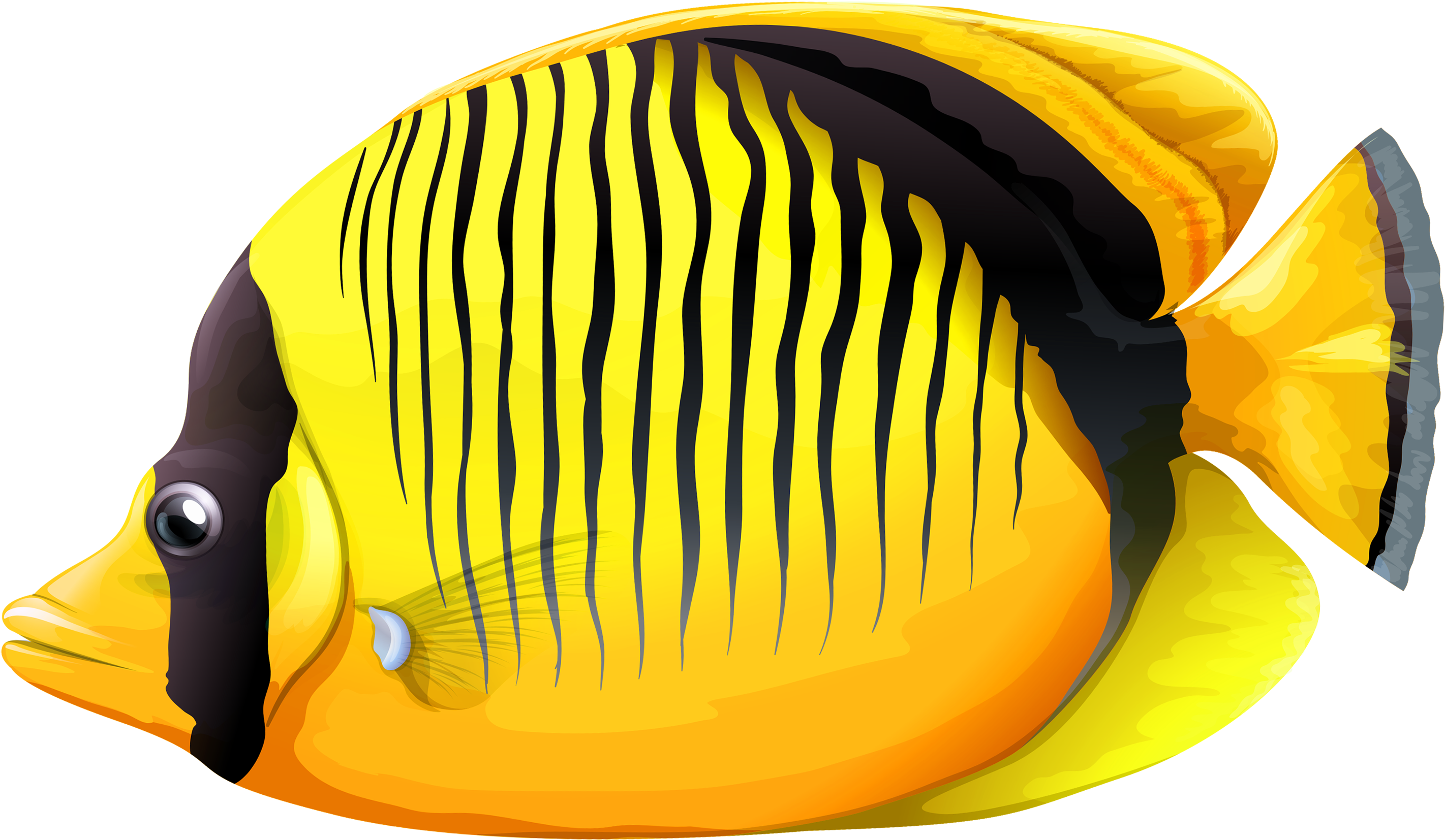 Yellow Butterfly Fish Png Clipart - Fish Clipart Png - Transparent PNG Free Download