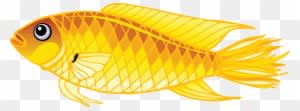 Gold Fish Clipart Different Fish - Transparent Background Fish Clip Art - Transparent PNG Free Download
