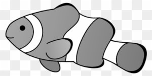 Innovation Ideas Clownfish Clipart Clipartblack Com - Clown Fish Drawing - Transparent PNG Free Download