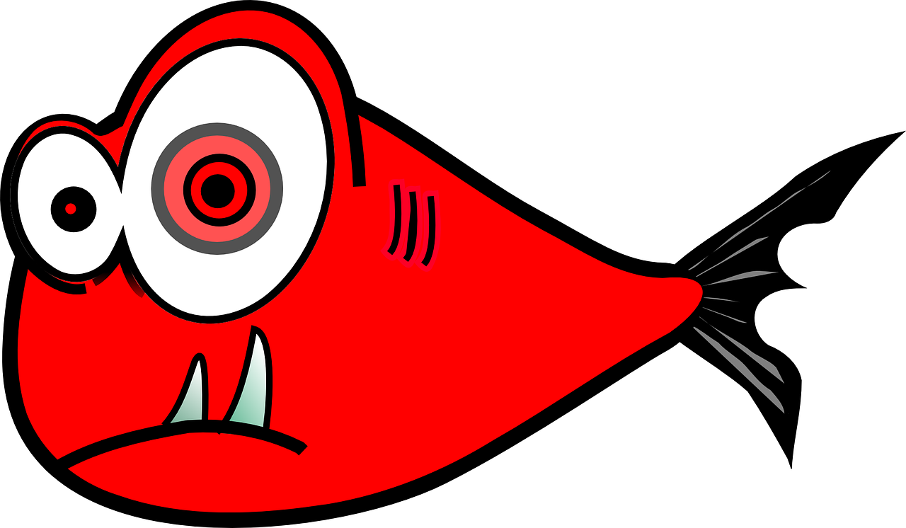 Fish Red Black Teeth Crazy - Black And Red Fish - Transparent PNG Free Download