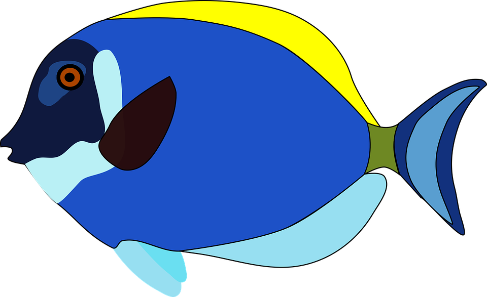 River Cliparts 14, Buy Clip Art - Clown Fish Cartoon - Transparent PNG Free Download