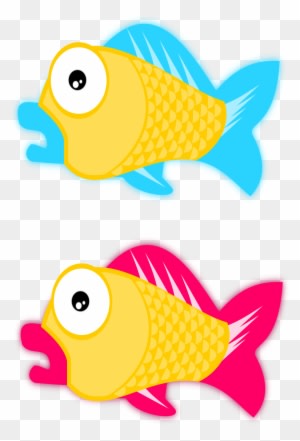 Big Image - Fish - Transparent PNG Free Download