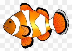 Peaceful Design Ideas Clip Art Fish Clipart Free And - Clown Fish Clipart - Transparent PNG Free Download