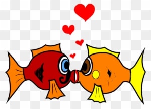 Clip Arts Related To - Wedding Clip Art Fish - Transparent PNG Free Download