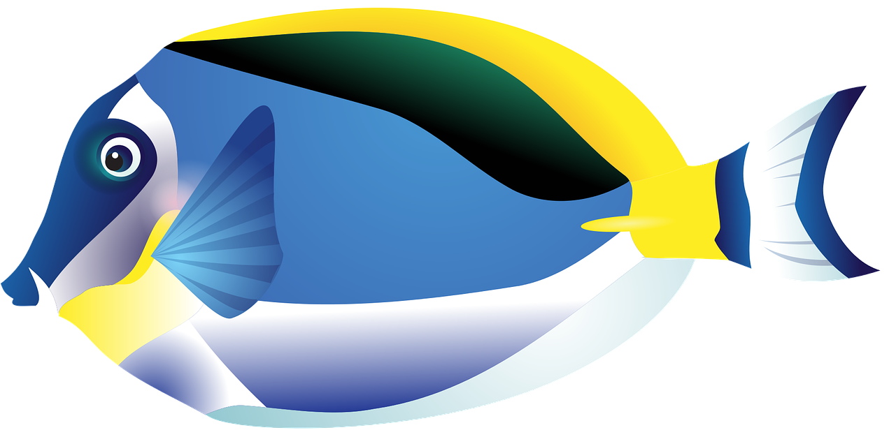 Aquarium Fish Amphiprion Percula Clip Art At Mzayat - Tropical Fish Drawing Png - Transparent PNG Free Download