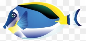 Aquarium Fish Amphiprion Percula Clip Art At Mzayat - Tropical Fish Drawing Png - Transparent PNG Free Download